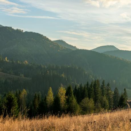 Rural Landscape